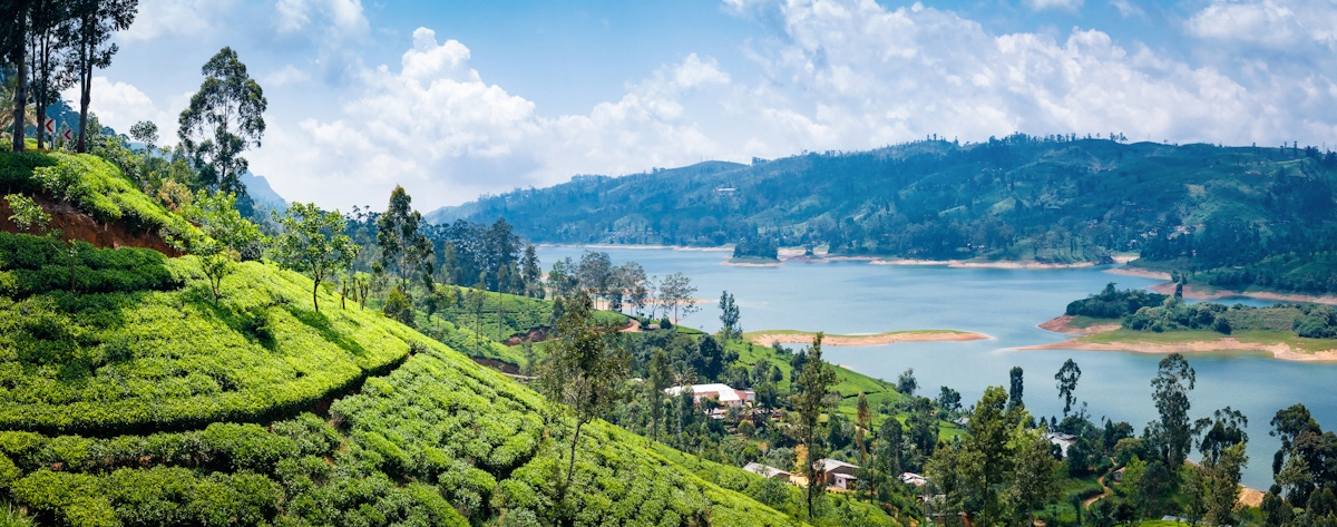 Lover's Leap Fall and Tea plantation tour from Nuwara Eliya Musement