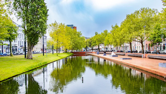 Architectural walk of Rotterdam with a local