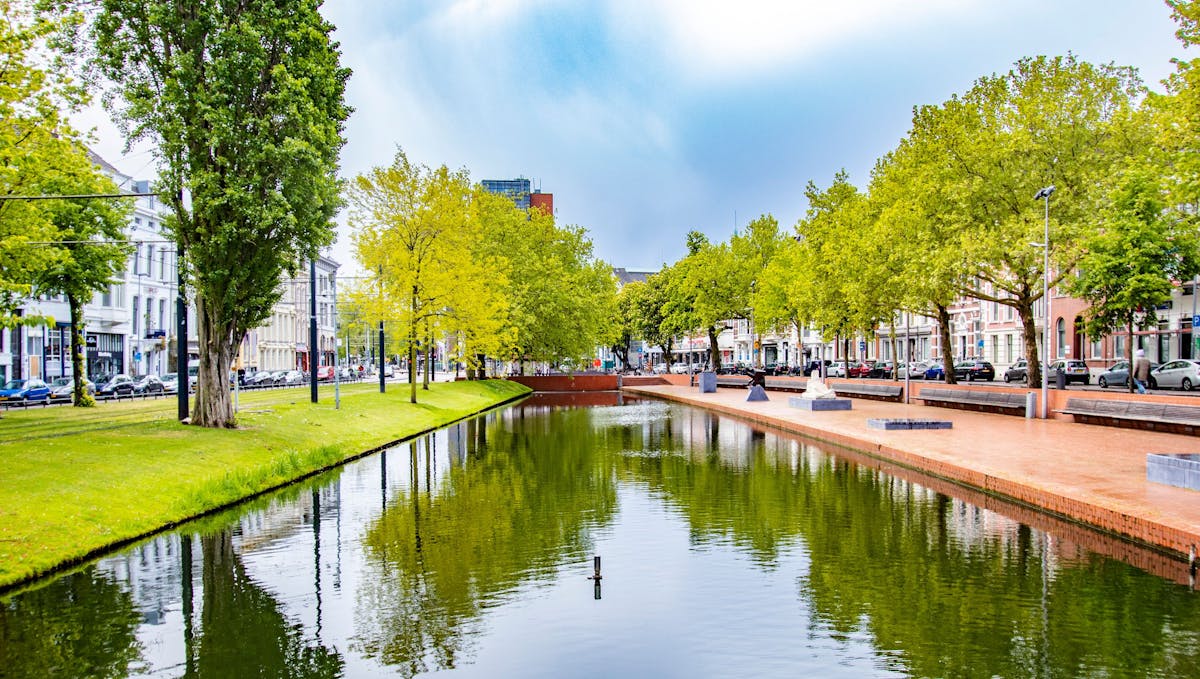 Architectuurwandeling door Rotterdam met een local