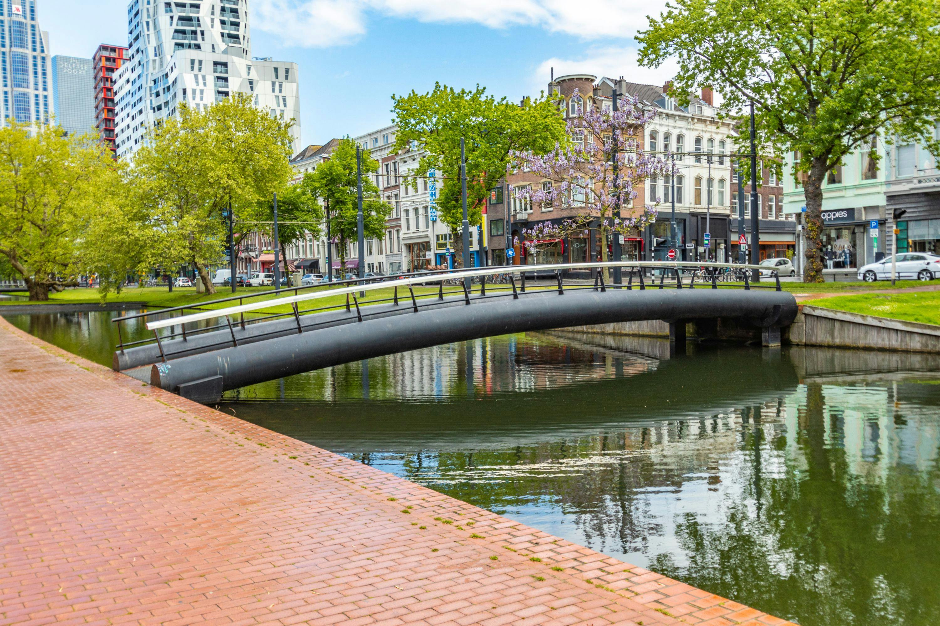 Promenade historique de Rotterdam avec un local