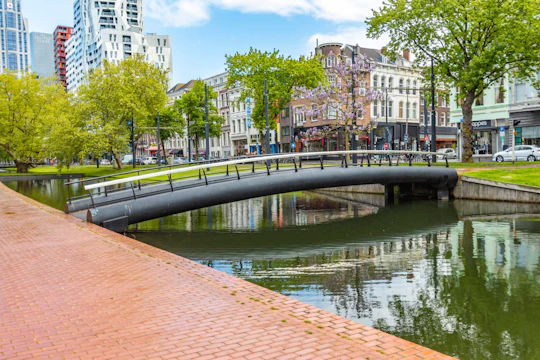 Historical walk of Rotterdam with a local