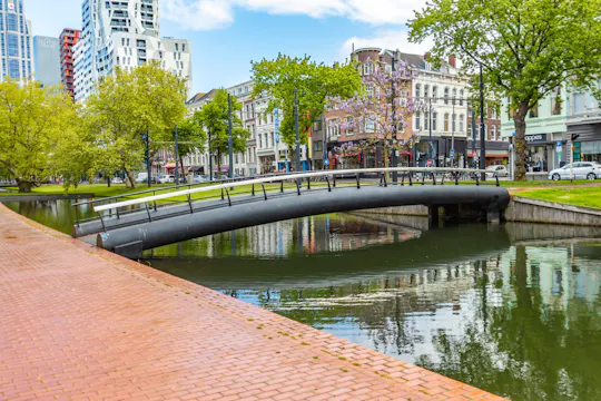 Historische wandeling door Rotterdam met een local