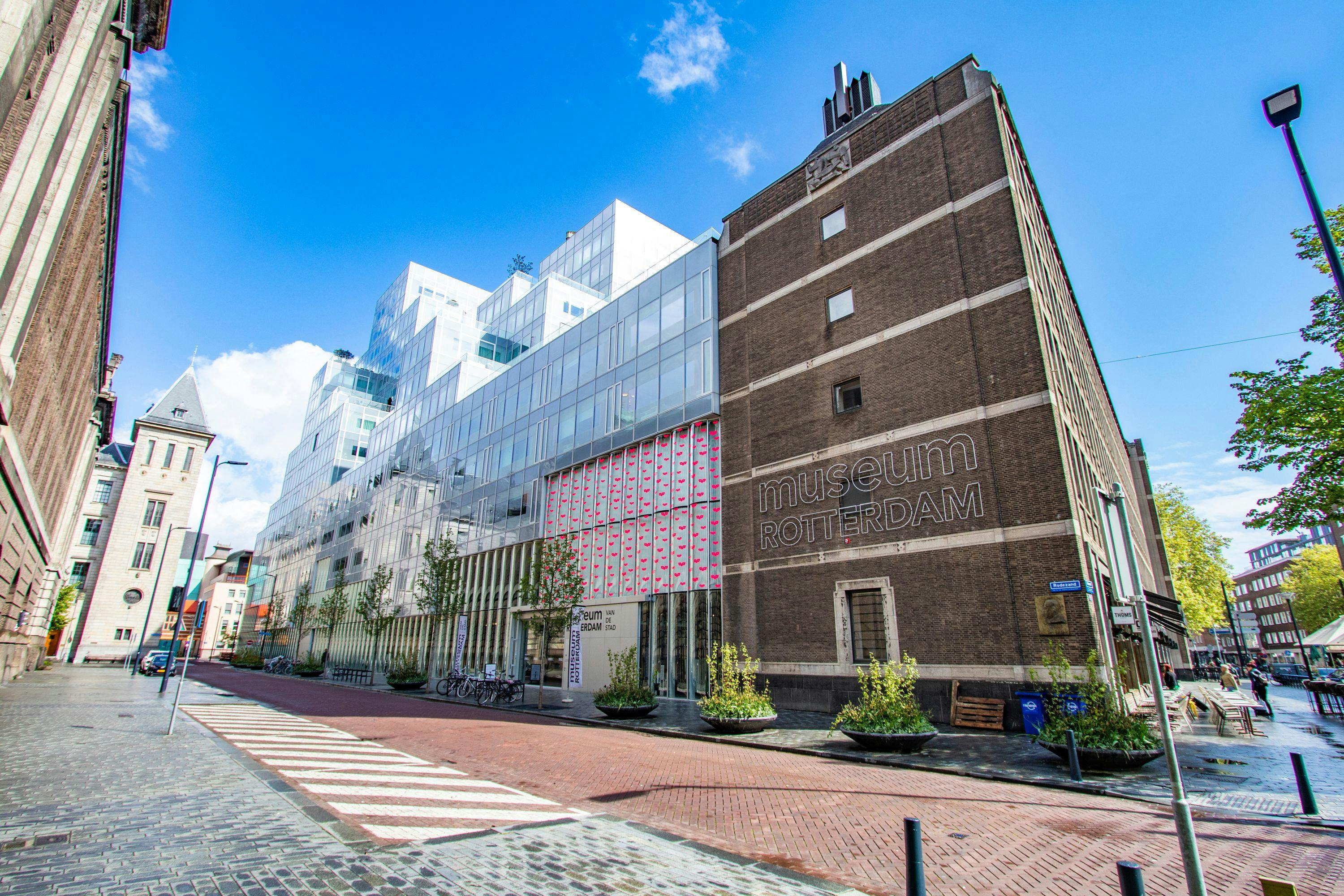 Explore Rotterdam in 90 minutes with a local Musement