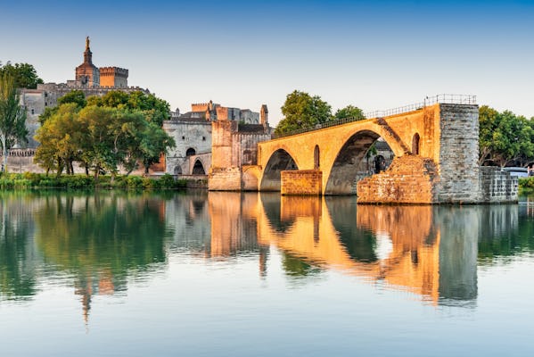 Billets d'entrée combinés pour le palais des papes et le pont d'Avignon
