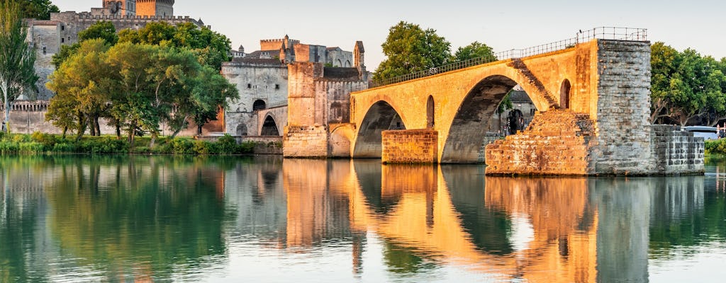 Entrada combinada para el Palacio de los Papas y el puente de Aviñón