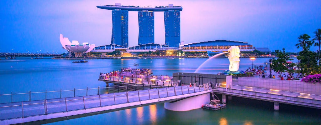 Luxe cruise bij zonsondergang in Singapore op catamaran