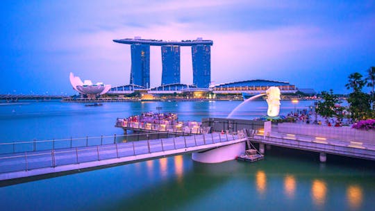 Luxe cruise bij zonsondergang in Singapore op catamaran