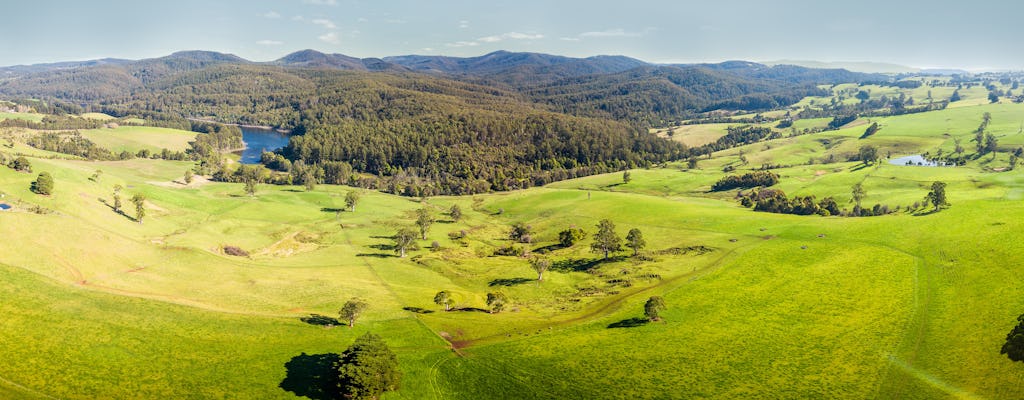 Visite panoramique en bus de la vallée de Yarra et des chaînes de Dandenong avec déjeuner, vin et chocolat