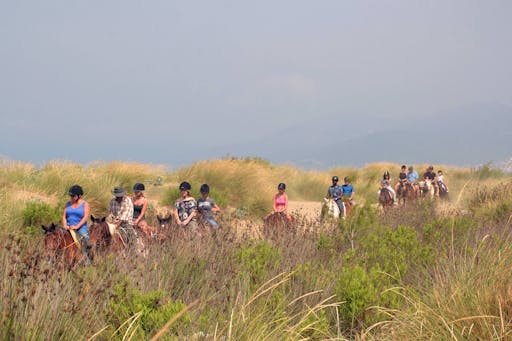 Kusadasi Horse Riding Safari