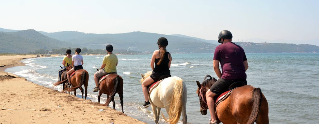 Kusadasi Horse Riding Safari