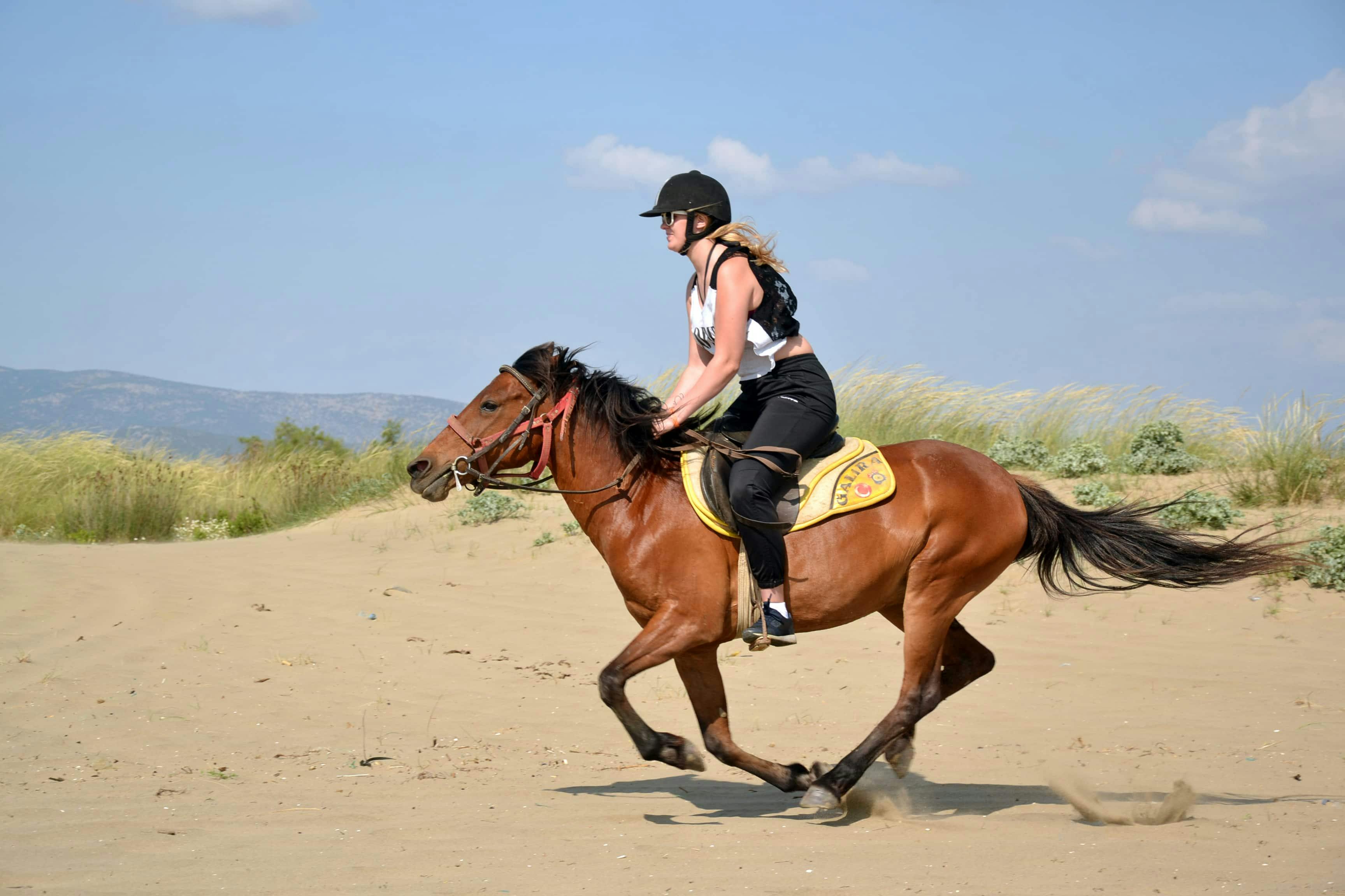 Kusadasi Horse Riding Safari