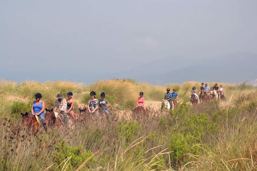 Kusadasi Horse Riding Safari