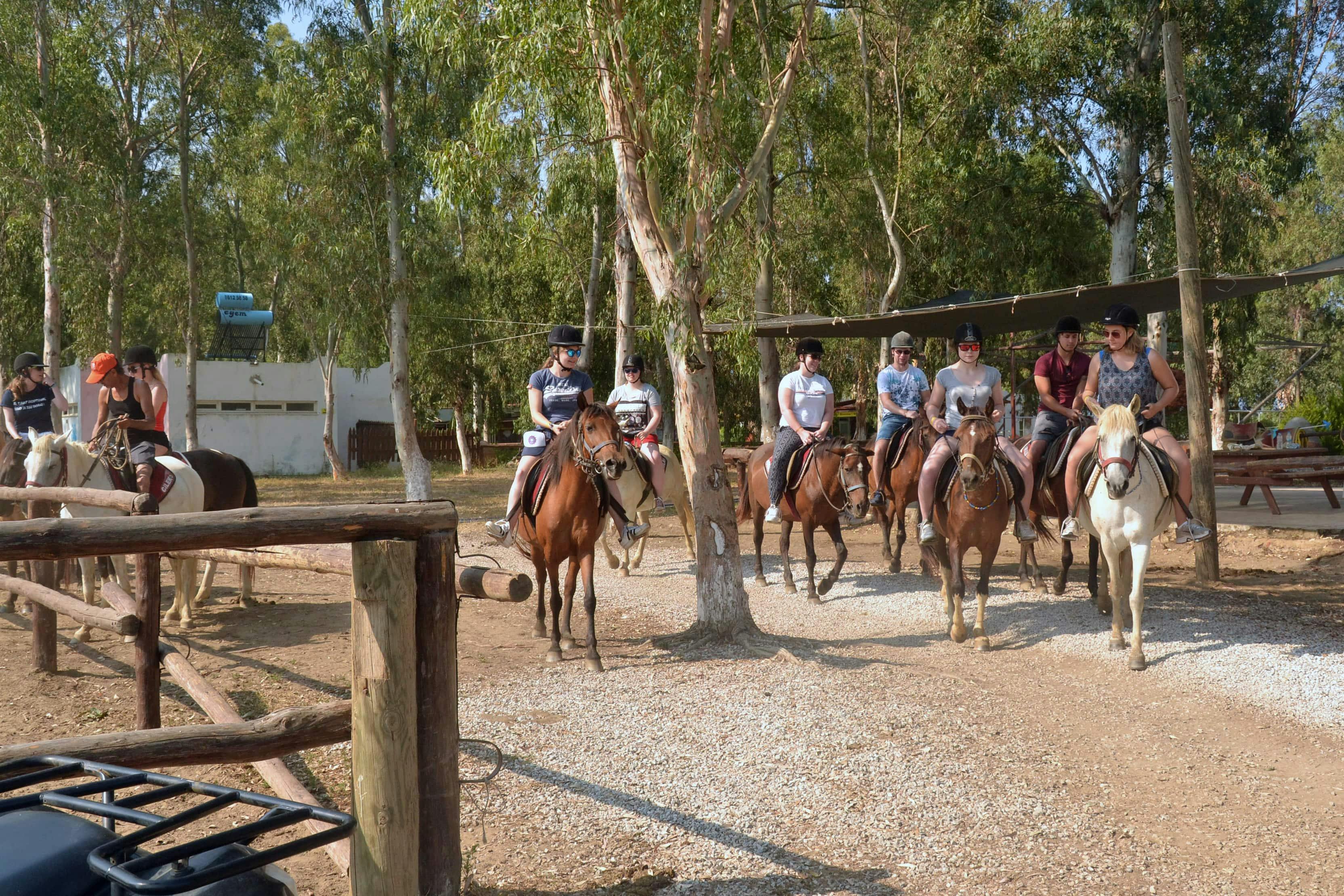 Kusadasi Horse Riding Safari