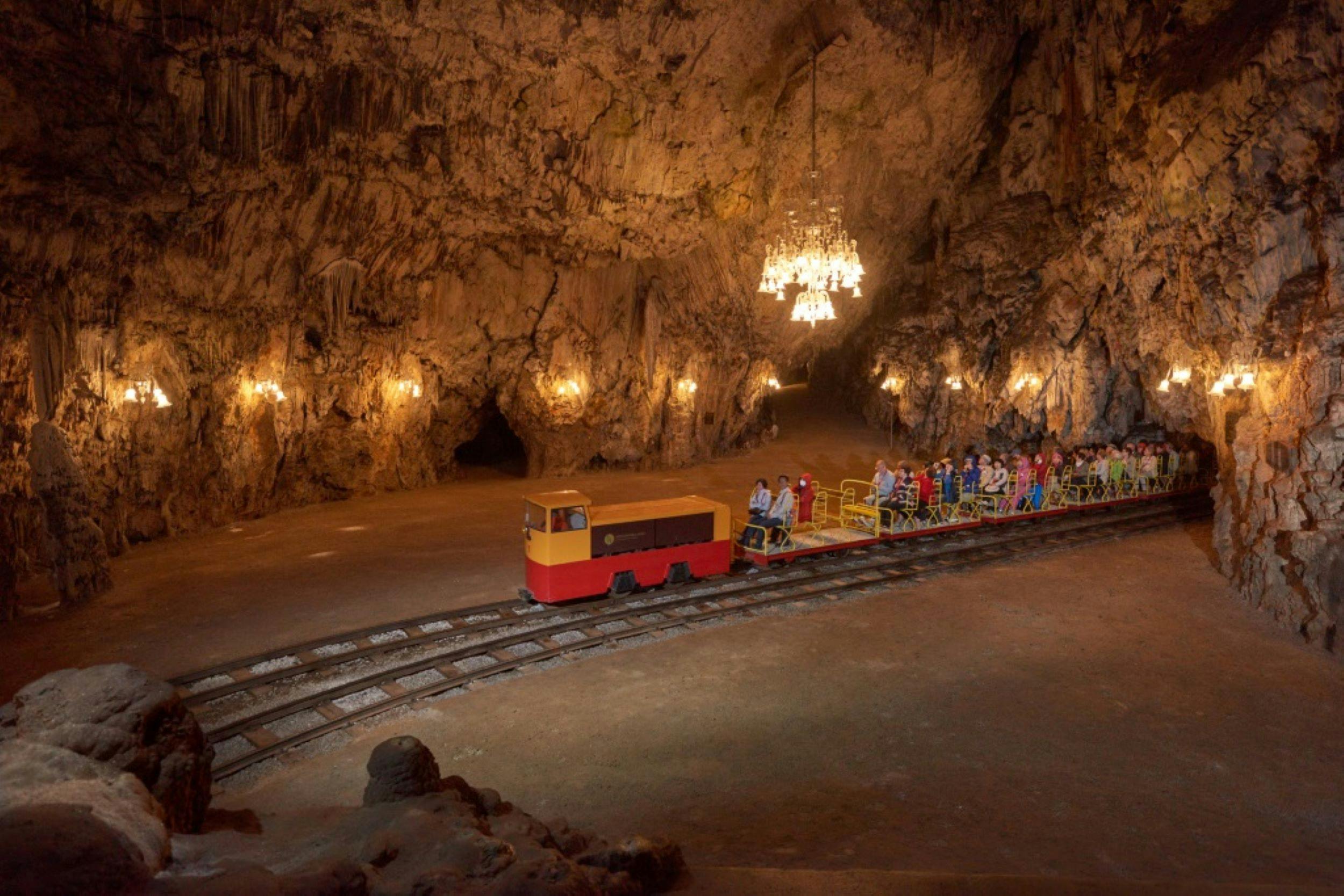 Stadnina Koni Lipica i wycieczka do jaskini Postojna z wybrzeża słoweńskiego