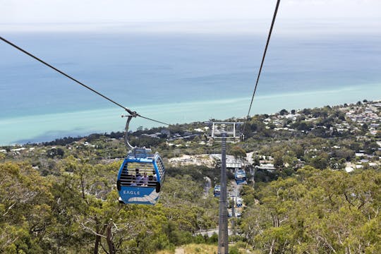 Tour panoramico in autobus della penisola di Mornington con seggiovia, pranzo, degustazione di cioccolato e altro ancora