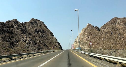 202009245f6c6d8e817d6.jpg