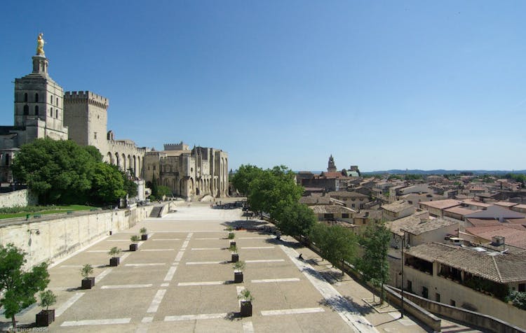 Combined entrance tickets for Palais des Papes and Pont d'Avignon