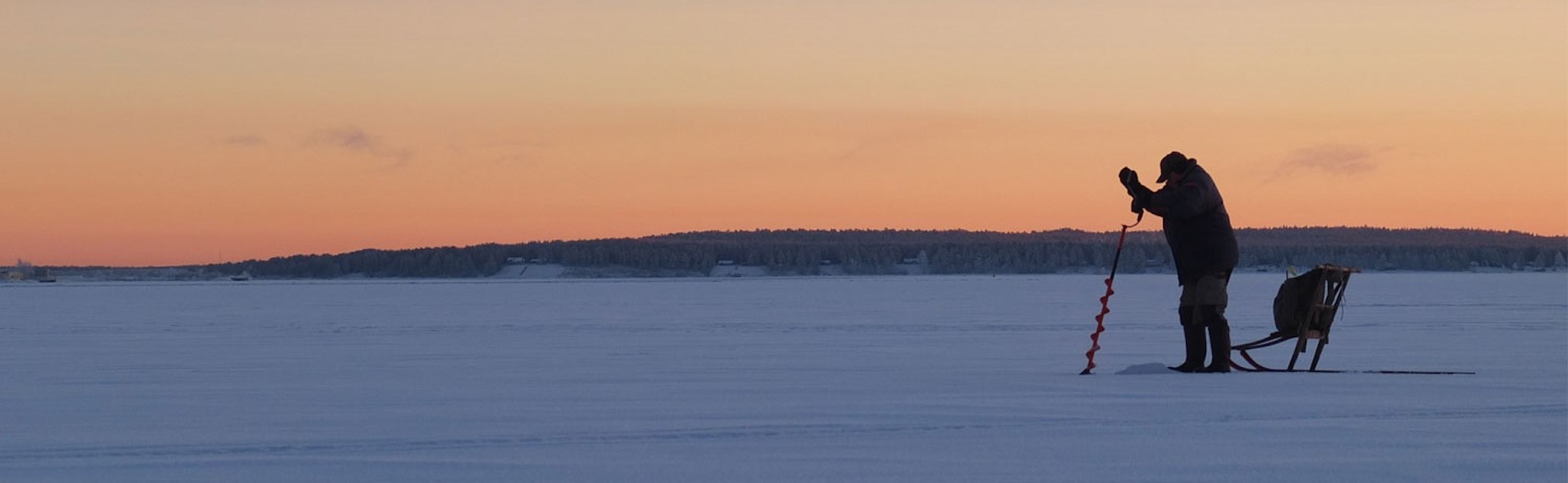Winter activities in Luleå  musement