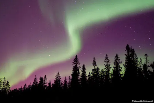 Passeio pela natureza da aurora boreal de carro