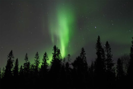 Escursione con le ciaspole nell'aurora boreale