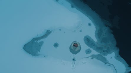 Ártico flotando en Lakeland