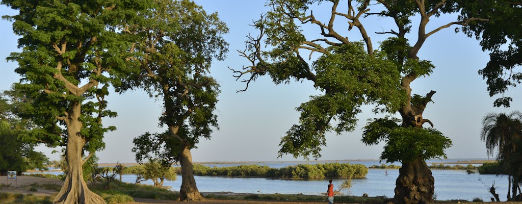 Mercato della savana africana e tour di un'intera giornata a Joal-Fadiouth da Dakar