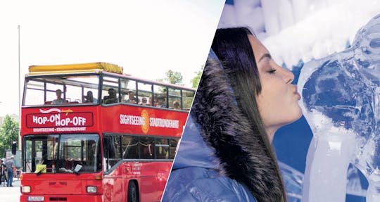 Berlin Icebar and 24 hour hop-on hop-off bus ticket