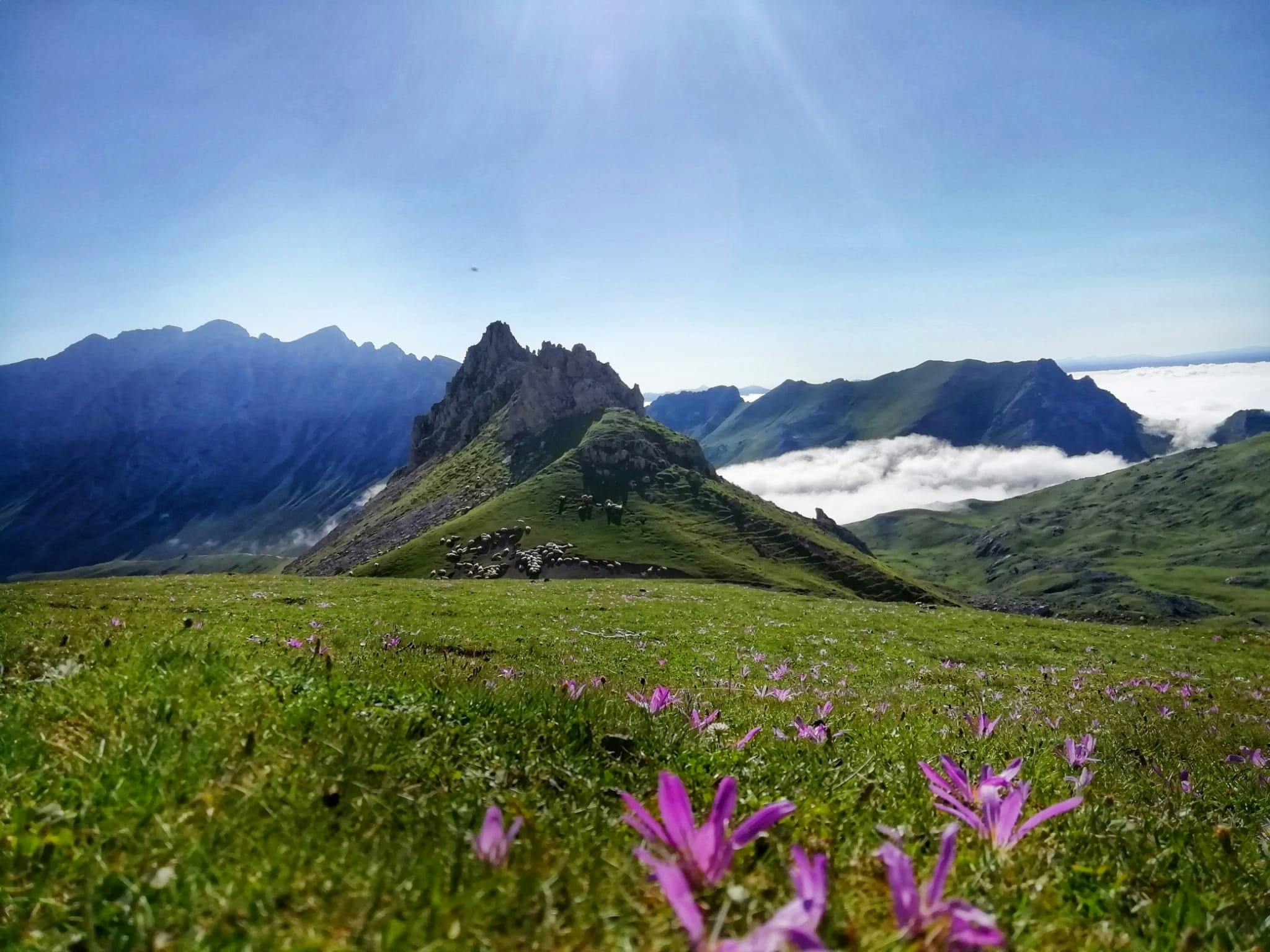 Dagstur til Picos, Potes og Soplaogrotten fra Santander