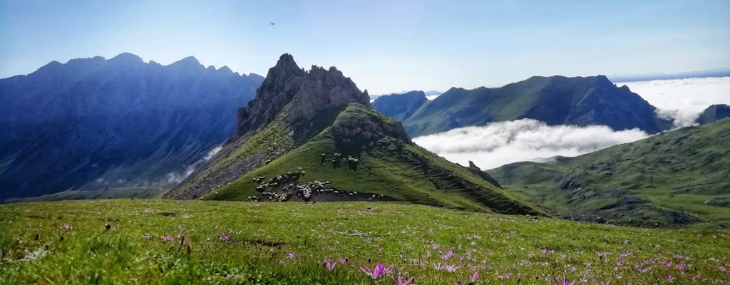 Visita guidata di Picos e Potes da Santander