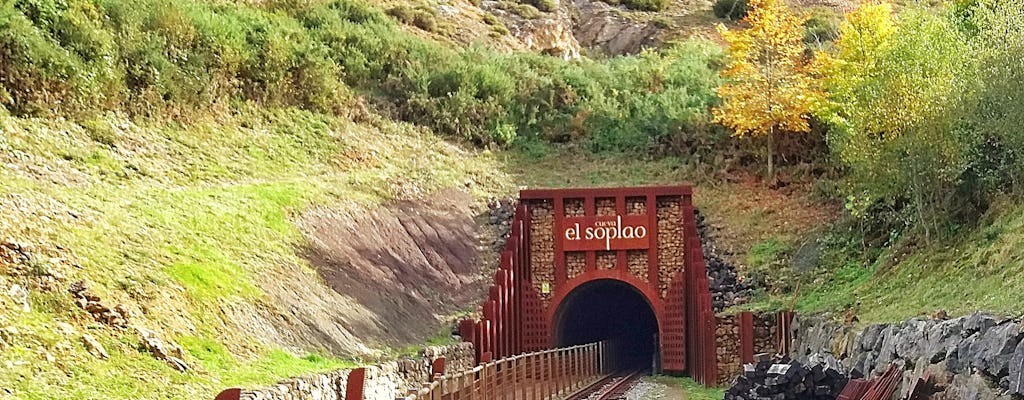 Entradas a la cueva del Soplao y excursión guiada desde Santander