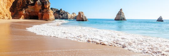Delfin- und Höhlen-Kreuzfahrt in Albufeira