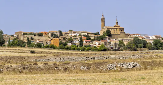Ganztägige Weintour und Besuch von Goyas Geburtsort
