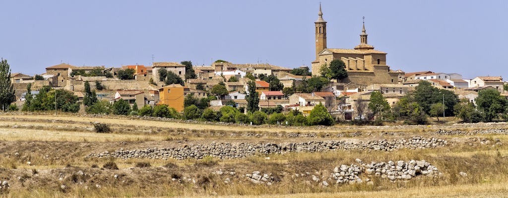 Tour de vino de día completo y visita al lugar de nacimiento de Goya.