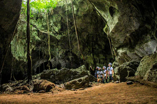 Cap Cana Catamaran Cruise & Scape Park