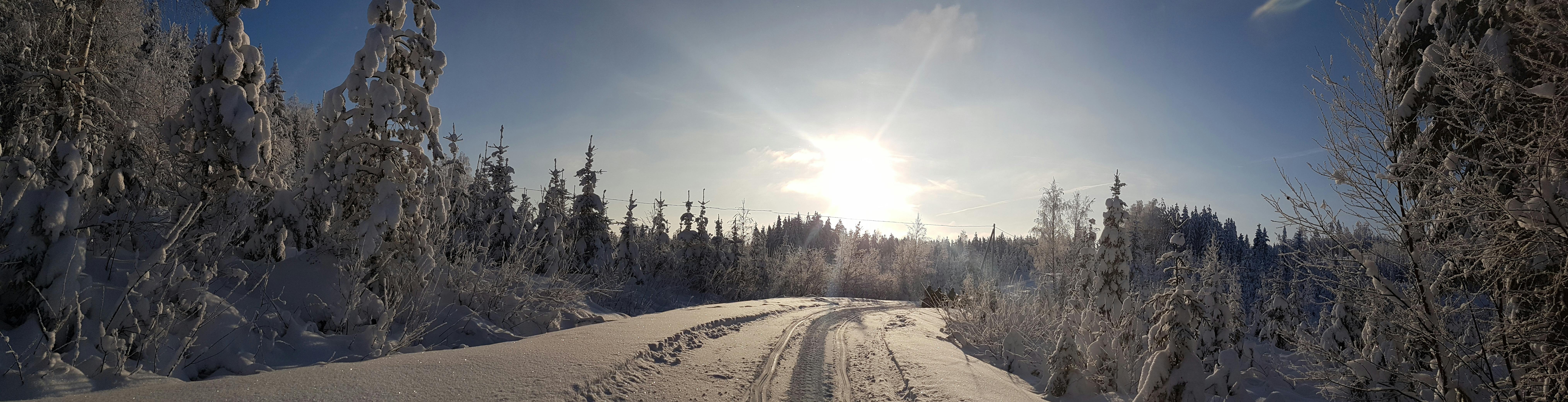 Wędrówka w rakietach śnieżnych przez fiński las