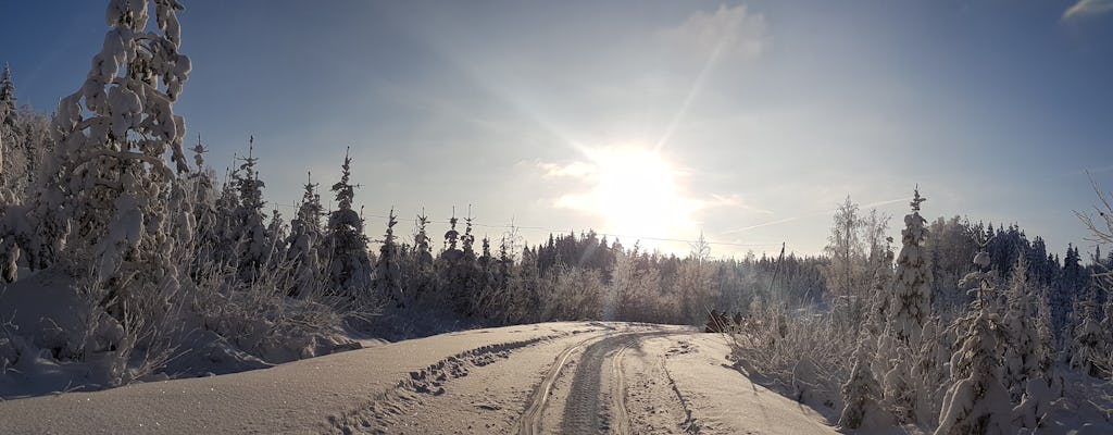 Caminhada com raquetes de neve por uma floresta finlandesa