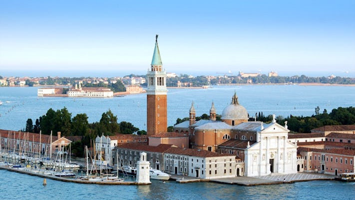 Visite en bateau des beautés artistiques de Venise