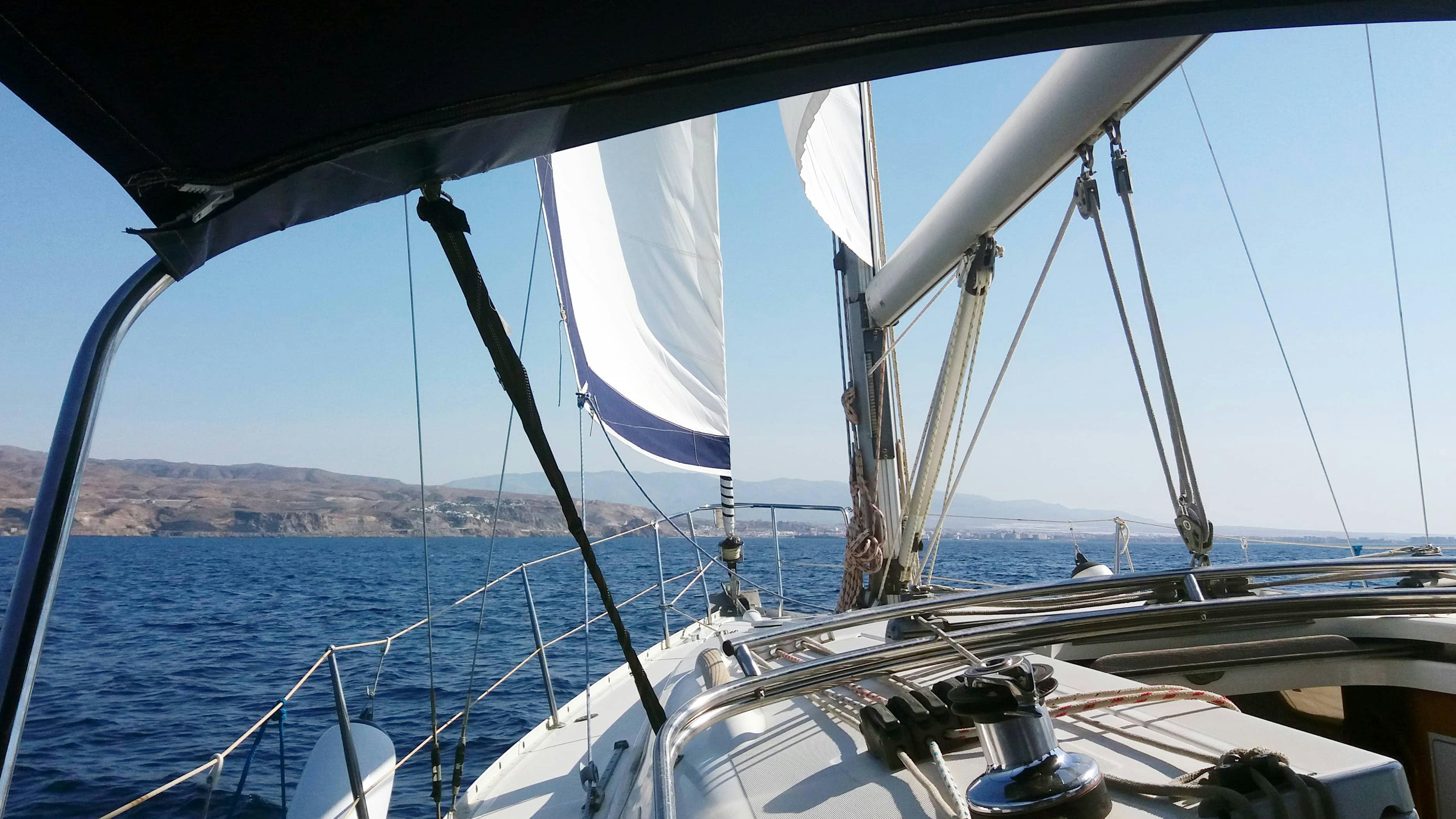 Aguadulce Dolphin Boat Ticket