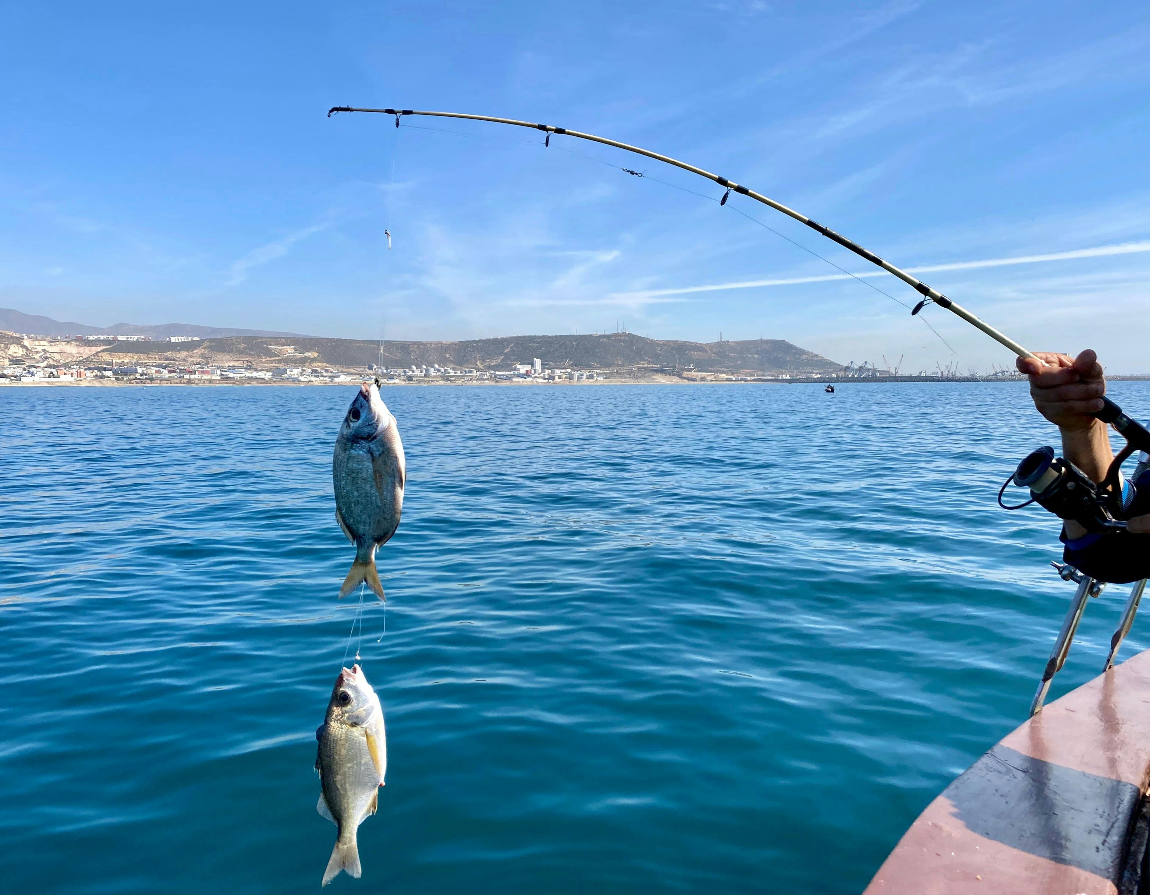 Agadir Fishing Experience