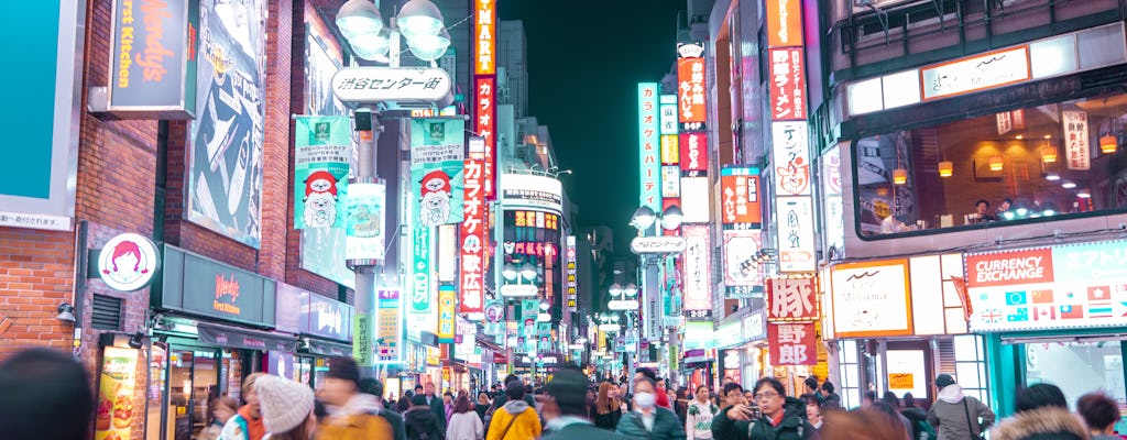 Prywatna, konfigurowalna piesza wycieczka po Tokio
