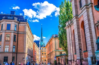 Explore a arte e a cultura de Estocolmo com um local