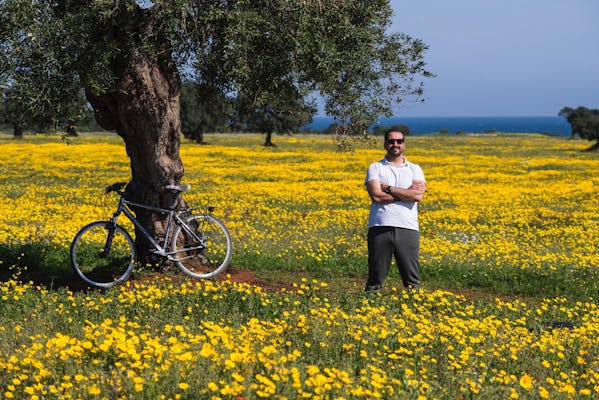 Passeio de bicicleta entre as oliveiras de Ostuni