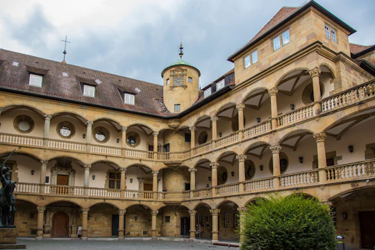 Explore Stuttgart's art and culture with a local