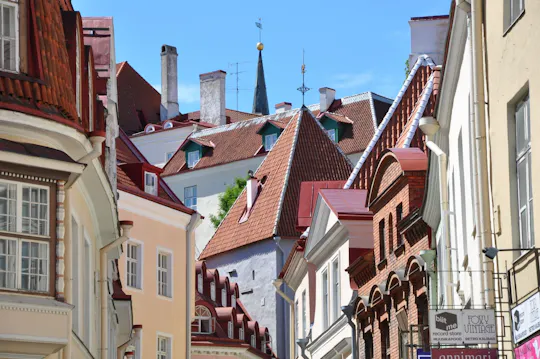 Passeio arquitetónico a pé por Tallinn com um local