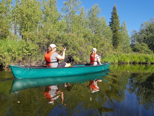 Passeio guiado de canoa ou caiaque no lago Pyhäjärvi