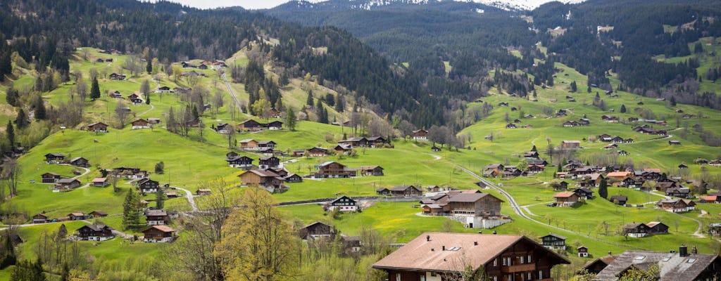 Descubre los lugares más fotogénicos de Interlaken con un local