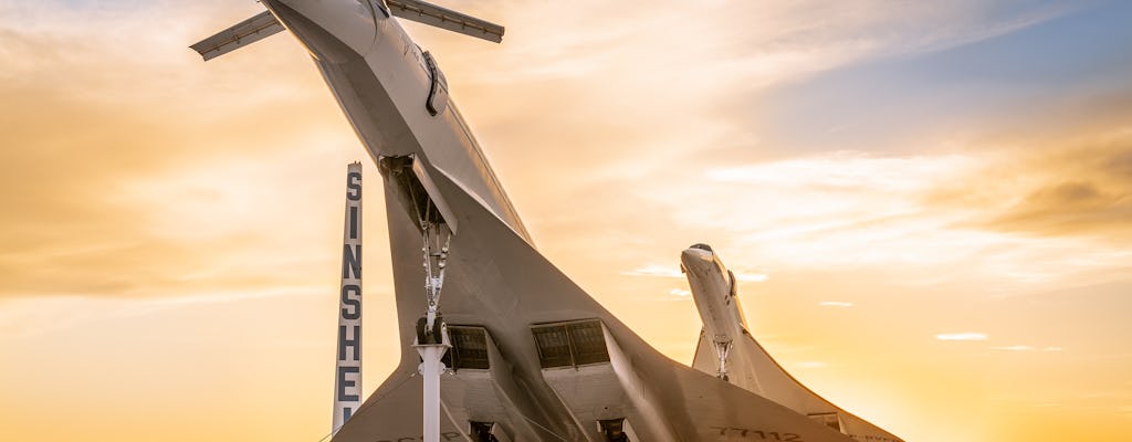 Auto- und Technikmuseum Sinsheim Eintrittsticket