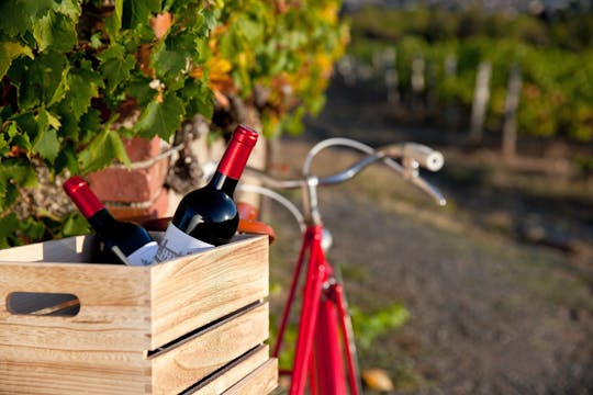 Self-guided bike tour to Saint Emilion