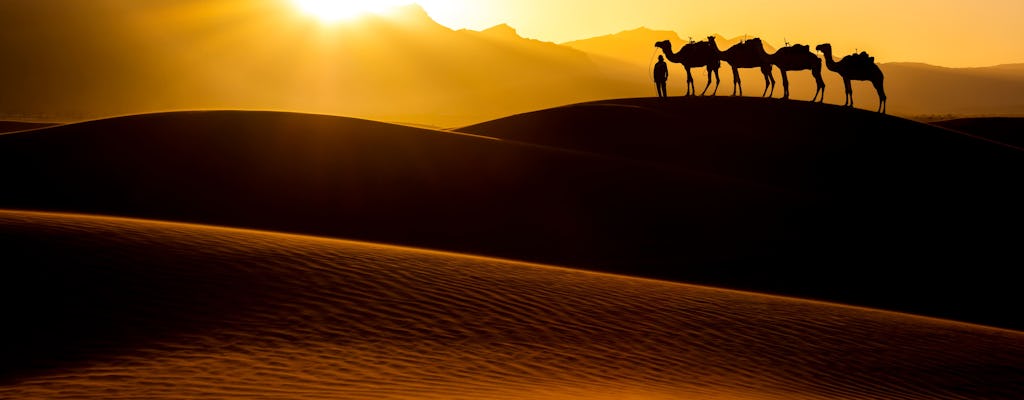 Mer, coucher de soleil & camp dans le désert