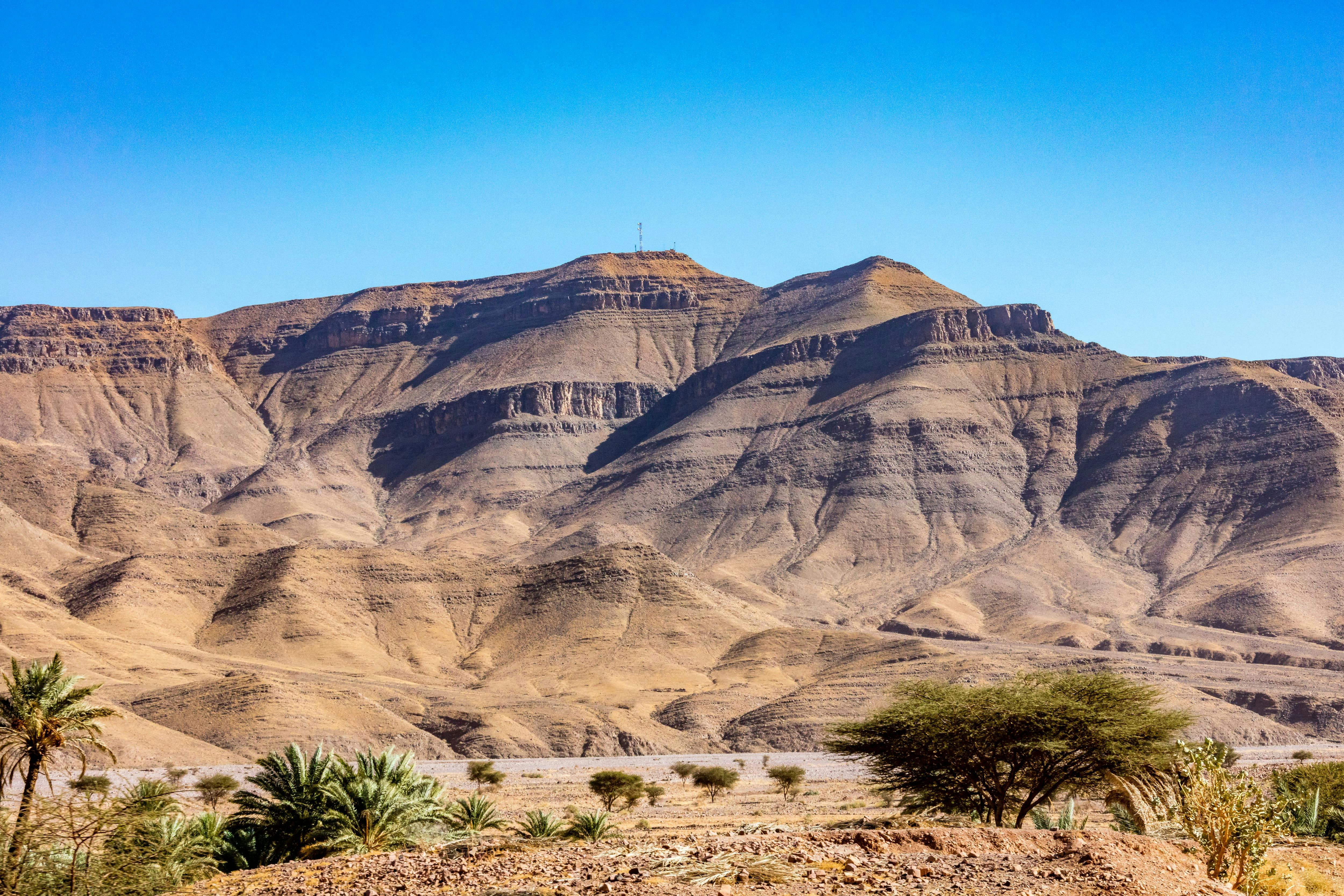 Sea, Sunset & Desert Camp Experience